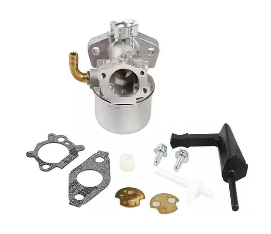 Carburetor For Briggs & Stratton 800 series 798653, 698860, 693865, 790290, 697354, 791077, 696981